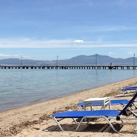 Noni Agia Triada (Thessaloniki)